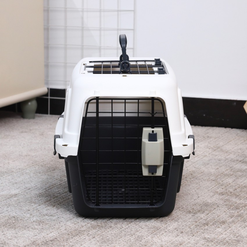 Transportbox voor dieren met mat 30x45x30 cm Rexxy M Aanbieding Transportbox voor dieren met mat 30x45x30 cm Rexxy M Aanbieding