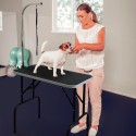 Opvouwbare honden verzorgingstafel met Mastiff lus