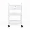 Schoonheidsspecialiste-kapperstrolley met 4 wielen, lade en planken Gordon Aanbieding