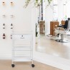 Schoonheidsspecialiste-kapperstrolley met 4 wielen, lade en planken Gordon Verkoop