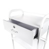 Schoonheidsspecialiste-kapperstrolley met 4 wielen, lade en planken Gordon Korting