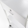 Schoonheidsspecialiste-kapperstrolley met 4 wielen, lade en planken Gordon Model