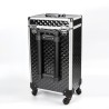 Professionele make-up trolley met 2 lades en 4 wielen Cygnus Voorraad