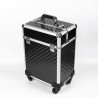Professionele make-upkoffer schoonheidsspecialistenwagen met 4 bakjes Betel 