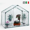 Kas voor planten, moestuin of bloemen op balkon en terras 180x105xh153 cm Mimosa S Verkoop