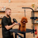 Ronde verstelbare draaibare elektronische honden trimtafel Beagle  Verkoop