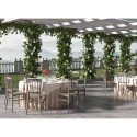 Design klassieke stoel voor buitenhuwelijksceremonies in het restaurant Divina Karakteristieken