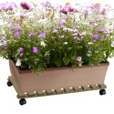 Houten plantenroller met wielen 70x40cm Videl R Verkoop