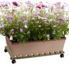 Houten plantenroller met wielen 70x40cm Videl R Verkoop