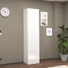 Witte hoogglans schoenkast met 1 deur 45x35x191h Dory Aanbieding