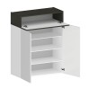 Moderne witte schoenenkast met 2 deuren en 4 planken 76x34x100cm Ayenne Afmetingen