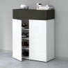 Moderne witte schoenenkast met 2 deuren en 4 planken 76x34x100cm Ayenne Kosten