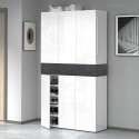 Grote moderne schoenenkast 114x34x200 cm, 6 deuren, 10 planken, model Dettey Kortingen