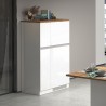 Inbouw koelkastombouw 2-deurs kast keuken 60x60x164,5h Halser Keuze