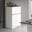 Inbouw koelkastombouw 2-deurs kast keuken 60x60x164,5h Halser Voorraad