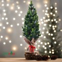 Kleine kunstmatige kerstboom met dennenappels en kunstsneeuw 50 cm Stoeren Catalogus