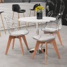 Transparante stoel Caurs met kussen in Scandinavisch design 
