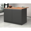 Moderne keuken eiland met 2 deuren houten tafel 125x90x90cm Deer 
