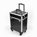 Professionele make-upkoffer schoonheidsspecialistenwagen met 4 bakjes Betel Aanbieding