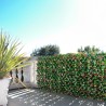 Kunstmatige haag 2x1m photinia tuin uittrekbare latwerk Ivoss Verkoop