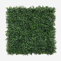 Kunsthaag decoratief buxus paneel 50x50 cm voor in de tuin Virgat Aanbieding