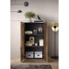 Opbergkast multifunctioneel woonkamer kantoor 2 deuren 2 planken 63x35x114cm Liara Karakteristieken