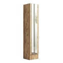 Kledingkast schoenenkast van hout met spiegeldeur en 3 planken 36x36x180 cm Torge Verkoop