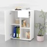 Lage witte boekenkast met deur, lade en open vakken 65x35x89 cm Maelis Korting