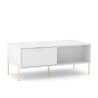 Salontafel met deurtjes en open vakken wit goudkleurig 104,1x59,6x41,6 cm Oviedo Verkoop