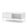 Salontafel met deurtjes en open vakken wit goudkleurig 104,1x59,6x41,6 cm Oviedo Korting