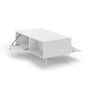 Salontafel met deurtjes en open vakken wit goudkleurig 104,1x59,6x41,6 cm Oviedo Kortingen
