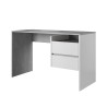 Modern witen grijs design bureau met 2 lades Riley Verkoop