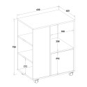 Lage kantoorkast voor documenten op wielen 60x40x75 cm Dundee Karakteristieken