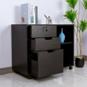 Vergrendelbare ladekast voor kantoor met wielen 80x40x66 cm Twatt Karakteristieken
