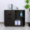 Vergrendelbare ladekast voor kantoor met wielen 80x40x66 cm Twatt Afmetingen