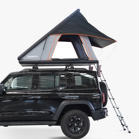 2-persoons autodaktent met luifel 140x225 cm Mexico Aanbieding