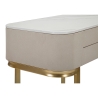 Inkomhal console met 2 lades en gouden poten 70x40cm Beauty Model
