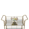 Gouden rechthoekige bar trolley met spiegelglazen planken Glammy Model
