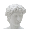 Klassieke decoratieve buste in polystone h34cm Man Aanbod