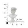 Klassieke decoratieve buste in polystone h34cm Man Voorraad