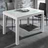Uitschuifbare glazen tafel 120-350x83cm voor eetkamer keuken Far Catalogus