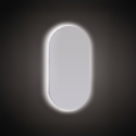 Ovale LED-verlichte badkamerspiegel met anti-condens ETR117 Verkoop