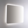 Led spiegel voor badkamer met touch en achtergrondverlichting 100x70 cm met bluetooth ETR100-L Verkoop