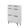 Moderne schoenenkast voor de hal met 2 kantelbare deuren en een lade Tempri Catalogus