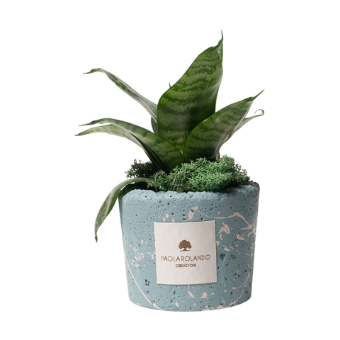 Sansevieria nana in blauw, decoratief gemarmerde pot Paola Rolando Simone Aanbieding