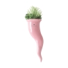 Succulent vetplant in keramieken sierpot Paola Rolando Partenope Korting