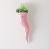 Succulent vetplant in keramieken sierpot Paola Rolando Partenope Aanbod