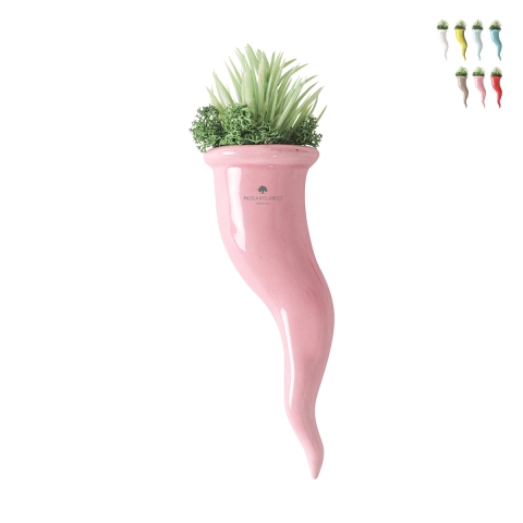 Succulent vetplant in keramieken sierpot Paola Rolando Partenope Aanbieding