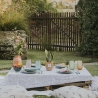Sansevieria plant in glazen vaas voor binnen Paola Rolando Hope Korting