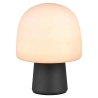 Moderne design bureaulamp met glazen lampenkap Trist Korting